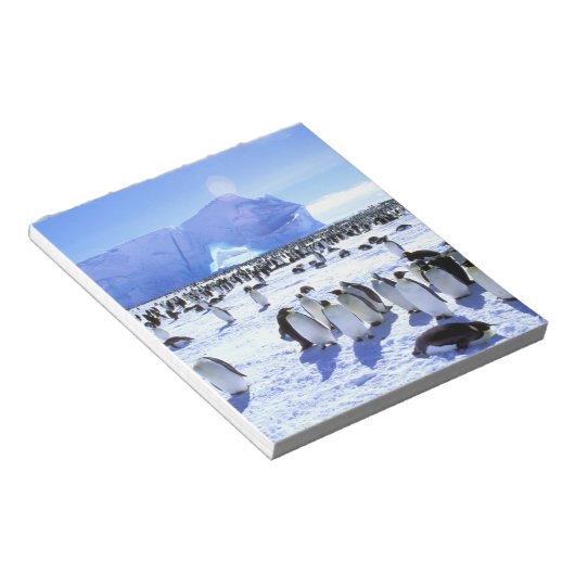 Antarktis, Antarktis, Halbinsel Weddell Sea, 5 Notizblock (angewinkelt)