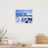 Antarktis, Antarktis, Halbinsel Weddell Sea, 5 Poster (Küche)
