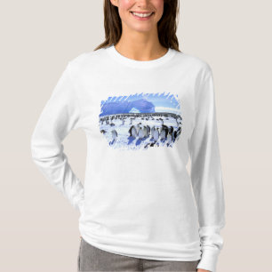Antarktis, Antarktis, Halbinsel Weddell Sea, 5 T-Shirt