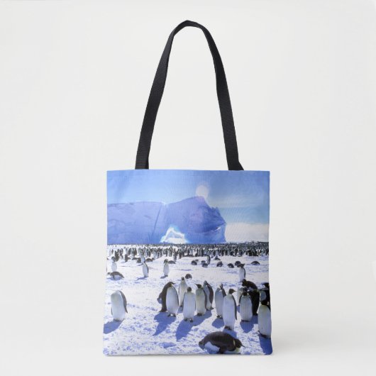 Antarktis, Antarktis, Halbinsel Weddell Sea 5 Tasche (Vorderseite)