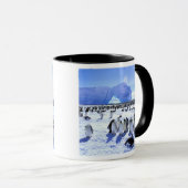 Antarktis, Antarktis, Halbinsel Weddell Sea, 5 Tasse (VorderseiteRechts)