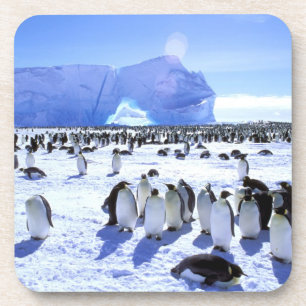 Antarktis, Antarktis, Halbinsel Weddell Sea, 5 Untersetzer