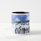 Antarktis, Antarktis, Halbinsel Weddell Sea, 5 Zweifarbige Tasse (Mittel)