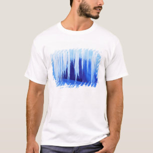Antarktis, australisches Antarktis-Gebiet. 2 T-Shirt