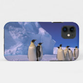 Antarktis, Australisches Antarktis-Gebiet, 7 Case-Mate iPhone Hülle (Rückseite (Horizontal))