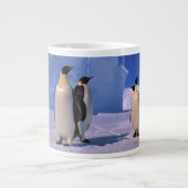 Antarktis, Australisches Antarktis-Gebiet, 7 Jumbo-Tasse (Vorderseite)