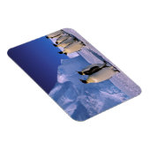 Antarktis, Australisches Antarktis-Gebiet, 7 Magnet (Rechte Seite)