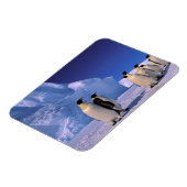 Antarktis, Australisches Antarktis-Gebiet, 7 Magnet (Linke Seite)