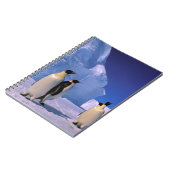 Antarktis, Australisches Antarktis-Gebiet, 7 Notizblock (Linke Seite)