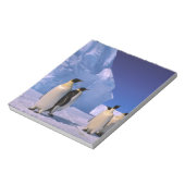 Antarktis, Australisches Antarktis-Gebiet, 7 Notizblock (Rotiert)