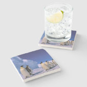 Antarktis, Australisches Antarktis-Gebiet, 7 Steinuntersetzer (Seitenansicht)