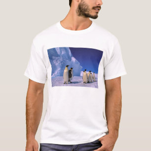Antarktis, Australisches Antarktis-Gebiet, 7 T-Shirt