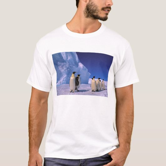 Antarktis, Australisches Antarktis-Gebiet, 7 T-Shirt (Vorderseite)