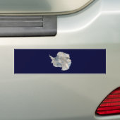 Antarktis (Blaue Marmorbildgebung der NASA) Autoaufkleber (Auf Auto)