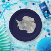 Antarktis (Blaue Marmorbildgebung der NASA) Pappteller (Party)