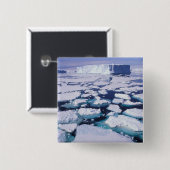 Antarktis, Eisfluss Button (Vorne & Hinten)