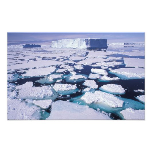 Antarktis, Eisfluss. Fotodruck (Vorne)