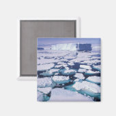 Antarktis, Eisfluss. Magnet (Vorderseite/Rückseite)