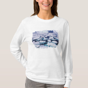 Antarktis, Eisfluss T-Shirt
