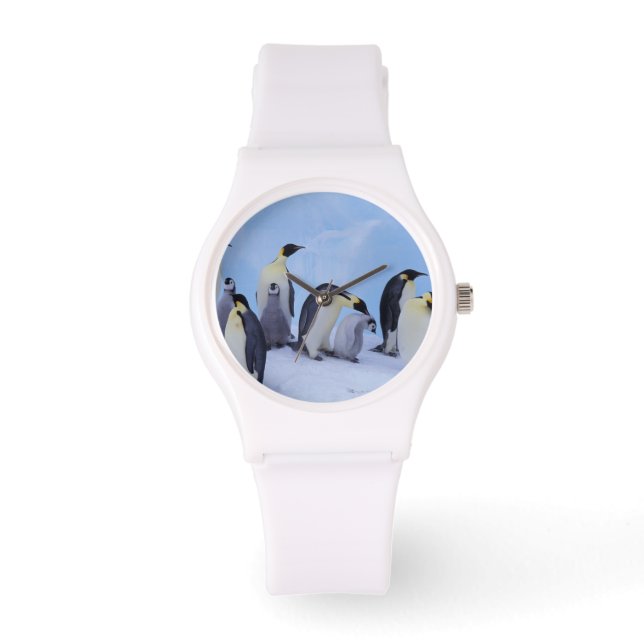 Antarktis, Emporer-Pinguine Armbanduhr (Vorderseite)