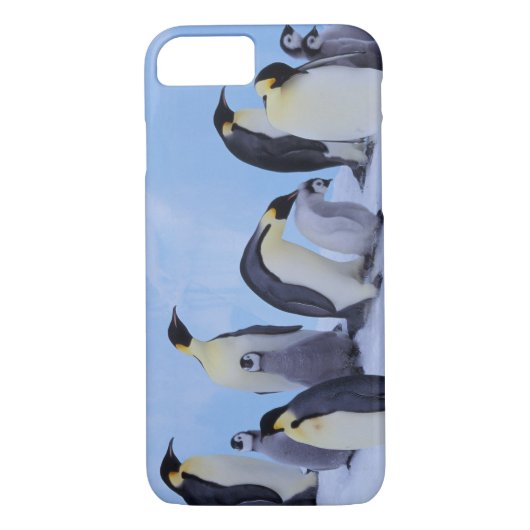 Antarktis, Emporer-Pinguine Case-Mate iPhone Hülle (Rückseite)
