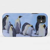 Antarktis, Emporer-Pinguine Case-Mate iPhone Hülle (Rückseite (Horizontal))