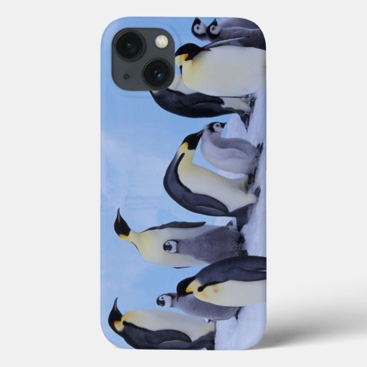 Antarktis, Emporer-Pinguine Case-Mate iPhone Hülle (Rückseite)