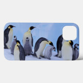 Antarktis, Emporer-Pinguine Case-Mate iPhone Hülle (Rückseite (Horizontal))