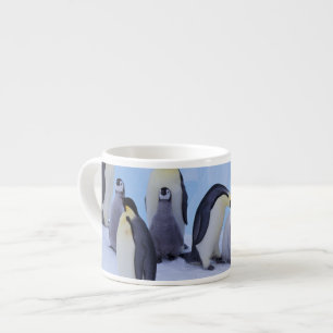 Antarktis, Emporer-Pinguine Espressotasse