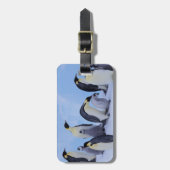 Antarktis, Emporer-Pinguine Gepäckanhänger (Vorderseite vertikal)