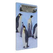Antarktis, Emporer-Pinguine Mini Klemmbrett (Schrägansicht)