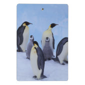 Antarktis, Emporer-Pinguine Mini Klemmbrett (Rückseite)