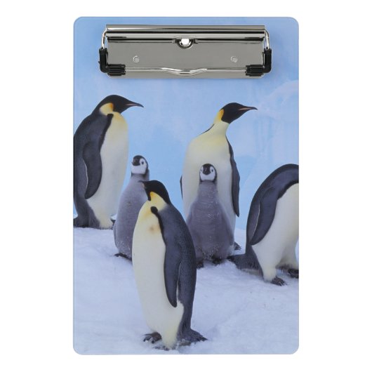 Antarktis, Emporer-Pinguine Mini Klemmbrett (Vorderseite)