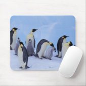 Antarktis, Emporer-Pinguine Mousepad (Mit Mouse)