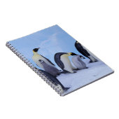 Antarktis, Emporer-Pinguine Notizblock (Rechte Seite)