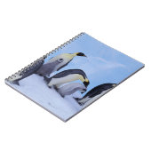 Antarktis, Emporer-Pinguine Notizblock (Linke Seite)