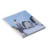 Antarktis, Emporer-Pinguine Notizblock (angewinkelt)