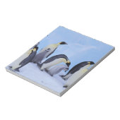 Antarktis, Emporer-Pinguine Notizblock (Rotiert)