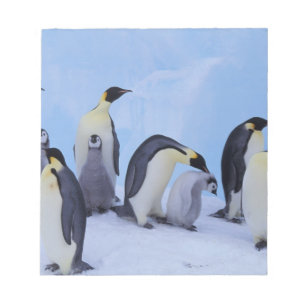 Antarktis, Emporer-Pinguine Notizblock