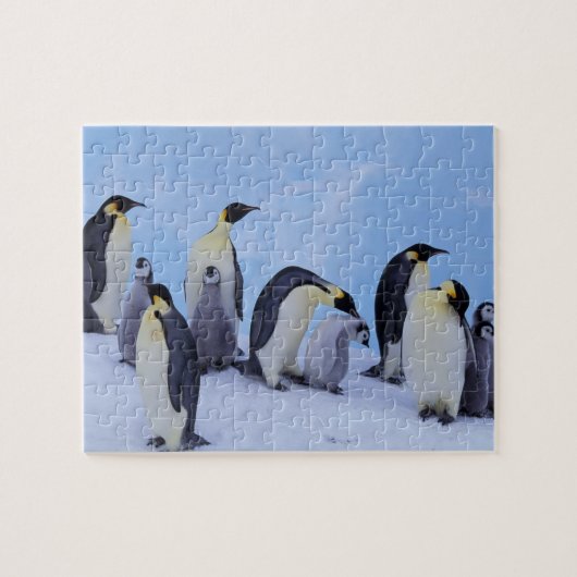 Antarktis, Emporer-Pinguine Puzzle (Horizontal)