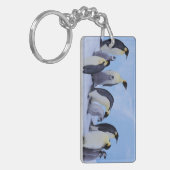 Antarktis, Emporer-Pinguine Schlüsselanhänger (Vorderseite links)