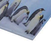Antarktis, Emporer-Pinguine Schneidebrett (Ecke)
