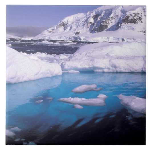 Antarktis Expedition durch Eisen 2 Fliese (Vorderseite)