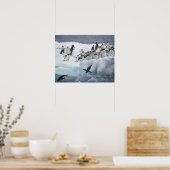 Antarktis, Insel Paulet. Adelie Pinguine Poster (Küche)