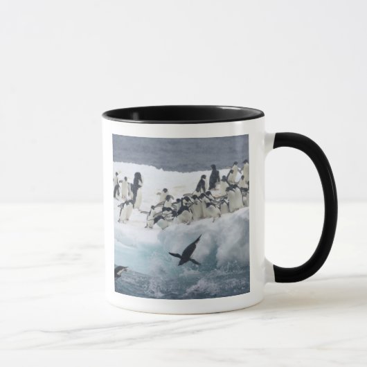 Antarktis, Insel Paulet. Adelie Pinguine Tasse (Rechts)