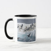 Antarktis, Insel Paulet. Adelie Pinguine Tasse (Links)