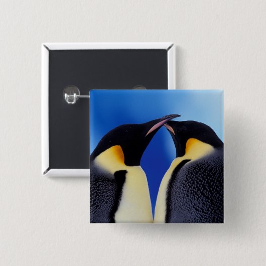 Antarktis, Kaiserpinguine Button (Vorne & Hinten)