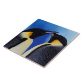 Antarktis, Kaiserpinguine Fliese (Seite)