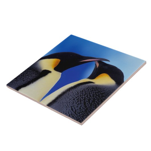 Antarktis, Kaiserpinguine Fliese (Seite)