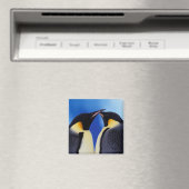 Antarktis, Kaiserpinguine Magnet (In Situ (Geschirrspüler))